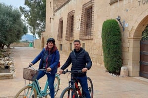 Alicante: Private Bicycle Tour of the Beach and History