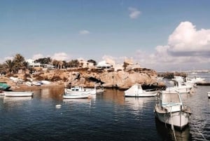 Alicante/Torrevieja: Retki Tabarcaan lautalla, Santa Pola ja Laguna Rosa