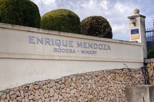 Alicante/Benidorm: tour delle migliori cantine con degustazione