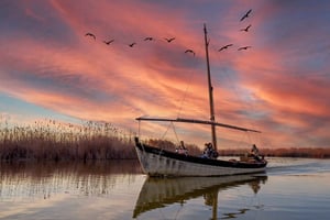 Da Alicante: centro storico di Cullera e parco naturale dell'Albufera