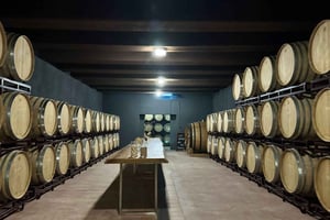 Из Аликанте, Бенидорма: экскурсия по винодельне и дегустация вин