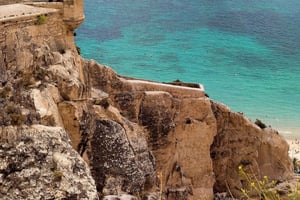 Da Valencia: Alicante con tour guidato con guida locale