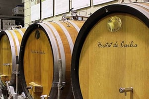 Santa Pola, Gran Alacan, Urbanova: tour guidato di degustazione di vini