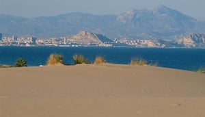 Swiss Service Real Estate