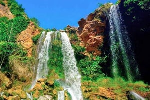 Из Аликанте посещение: центр Валенсии