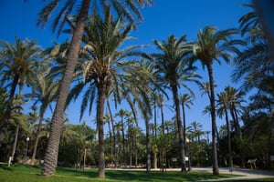 Torrevieja: paikallinen markkinat ja panoraamanäkymät