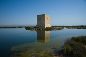 Village Street Market: Санта-Пола