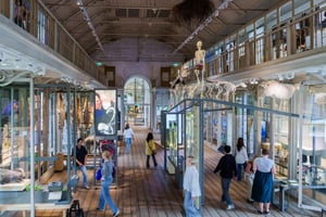 Amsterdam: Bilet wstępu do muzeum ARTIS-Groote