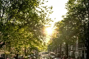 Amsterdam: Gems of the Golden Age Walking Tour