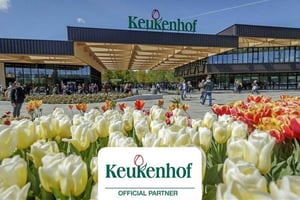 Amsterdam: Keukenhof Gardens & Tulip Fields Private Tour