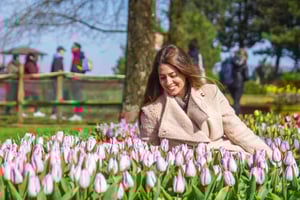 Amsterdam: Keukenhof Tulip Garden and Giethoorn Experience