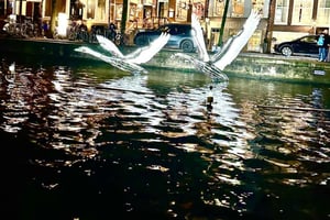 Amsterdam: Kanalkryssning under ljusfestivalen med liten grupp (12)