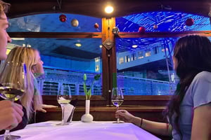 Ámsterdam: crucero de lujo por el Festival de la Luz con bebidas opcionales