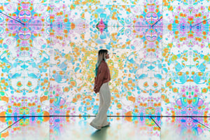 Amsterdam: Inngangsbilletter til Moco-museet med Banksy med mer