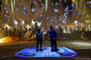 Амстердам: Билет на выставку Nxt Museum 'Still Processing'