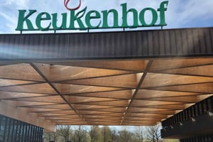 Амстердам в Кёкенхоф и Заансешанс: индивидуальный тур