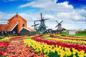 Amsterdam to Zaanse Schans Windmills, Volendam & Edam by Car