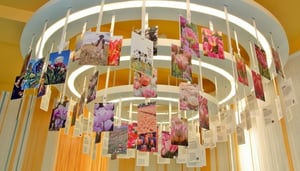 Amsterdam Tulip Museum