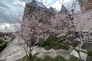 Amsterdam: Den ultimata stadsparksturen