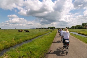 Amsterdam: E-biketour langs windmolens, kaas en het platteland