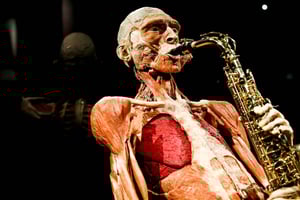 Body Worlds Amesterdão: Ingresso para o Projeto Felicidade