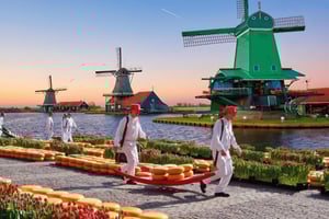 Von Amsterdam; Alkmaar Käsemarkt & Zaanse Schans