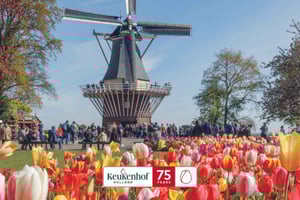 Amsterdam: Inngang til Keukenhof og shuttlebus med fleksibel retur