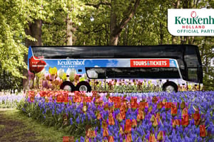 Fra Amsterdam: Keukenhof-inngang med skyttelbuss