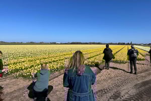 Z Amsterdamu: wczesna wycieczka kwiatowa, cały dzień z lunchem