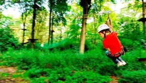 Fun Forest Amsterdam