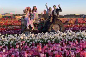 Passeio fotográfico pela Holanda — Moinhos de vento, tulipas e vistas - Grupo pequeno