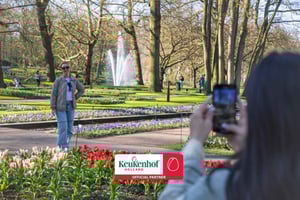 Excursão a Keukenhof + Apanha de Tulipas - De Amesterdão