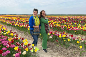 Keukenhof, tulpanodling, blomsterfält och väderkvarnar
