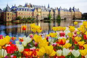 Rotterdam, Hague & Delft Private Tour from Amsterdam by Car