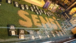 Sensi Seeds