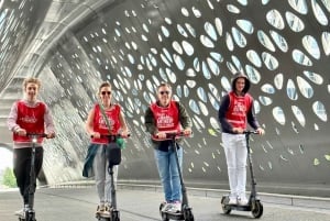 The Big Five City Highlights E-kickscooter Tour