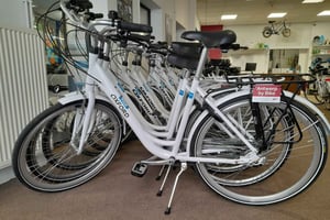 Antwerp: Full Day Bike Rental