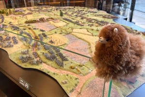 Waterloo vanuit Brussel Halve Dag Tour