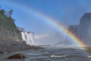Aventura en las Cataratas del Iguazú: Safari, Parque de las Aves y Cataratas