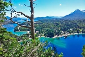 Bariloche: 7 Lakes & San Martin de Los Andes Road Trip
