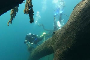 Bariloche: Sukelluskaste Moreno-järvellä