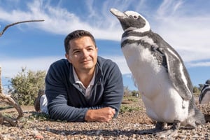 Ushuaia: Wycieczka całodniowa na wyspę Martillo — spacer wśród pingwinów