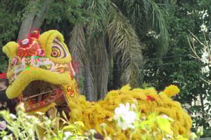 Belgrano-kierros: Chinatown ja brittiläinen naapurusto