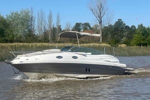 Best of Delta Buenos Aires Privat båttur: Njut av mer