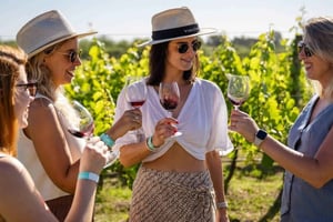 Buenos Aires: Casa Gamboa Winery Tour with Lunch & Wine