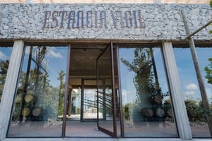 Buenos Aires: Estancia Vigil vingårdstur med lunsj