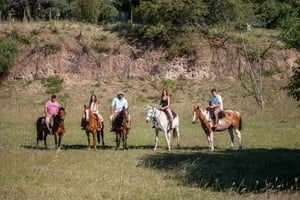 Buenos Aires: Gaucho-dag met asado (barbecue)