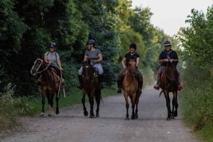 Buenos Aires: Ausritt zum Kristallbaum