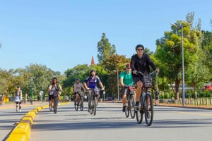 Buenos Aires: Inmersión cultural en Palermo y Recoleta en bicicleta