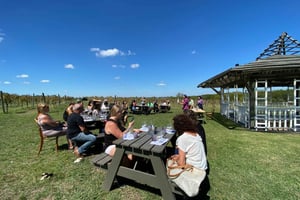 Buenos Aires: Degustacja wina i lunch w Bodega Gamboa